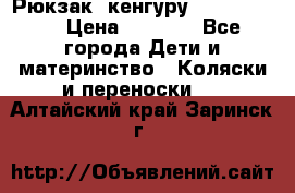 Рюкзак -кенгуру Baby Bjorn  › Цена ­ 2 000 - Все города Дети и материнство » Коляски и переноски   . Алтайский край,Заринск г.